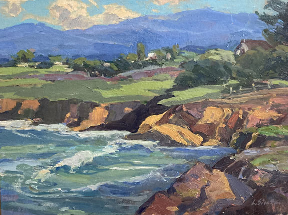 San Simeon Coastline